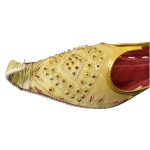 Men's Gold Khussa Shoes Punjabi Jutti - J115 …